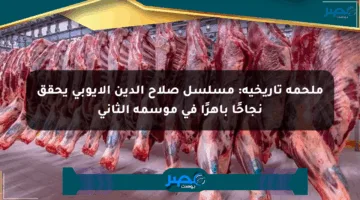 ملحمة تاريخية: مسلسل صلاح الدين الأيوبي يحقق نجاحًا باهرًا في موسمه الثاني